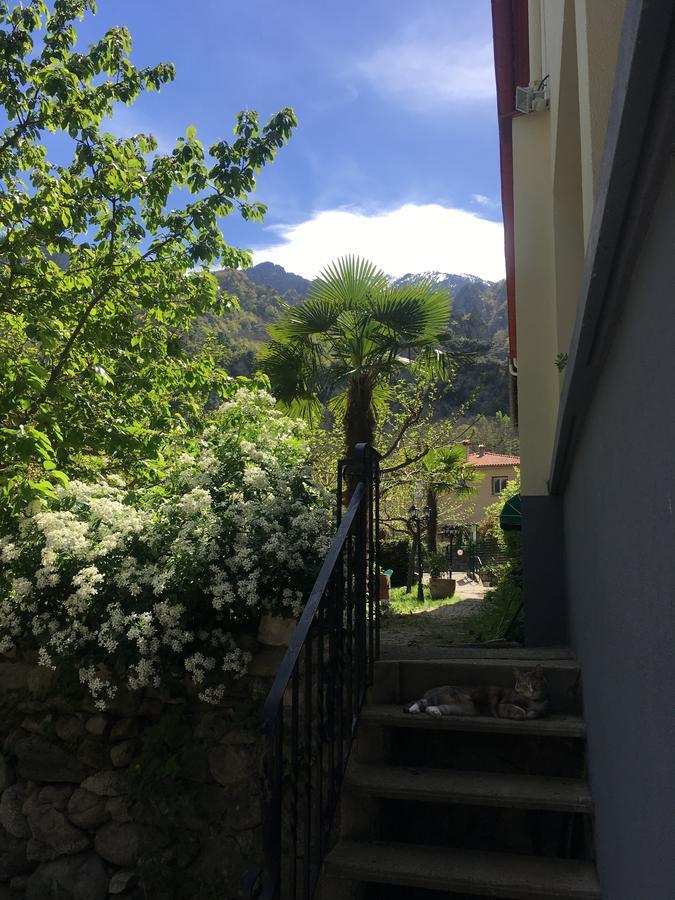 La Mirabelle-Casteil Country House Hostal Exterior foto