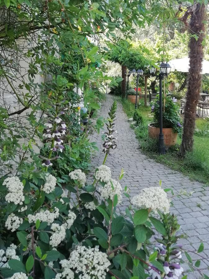 La Mirabelle-Casteil Country House Hostal Exterior foto