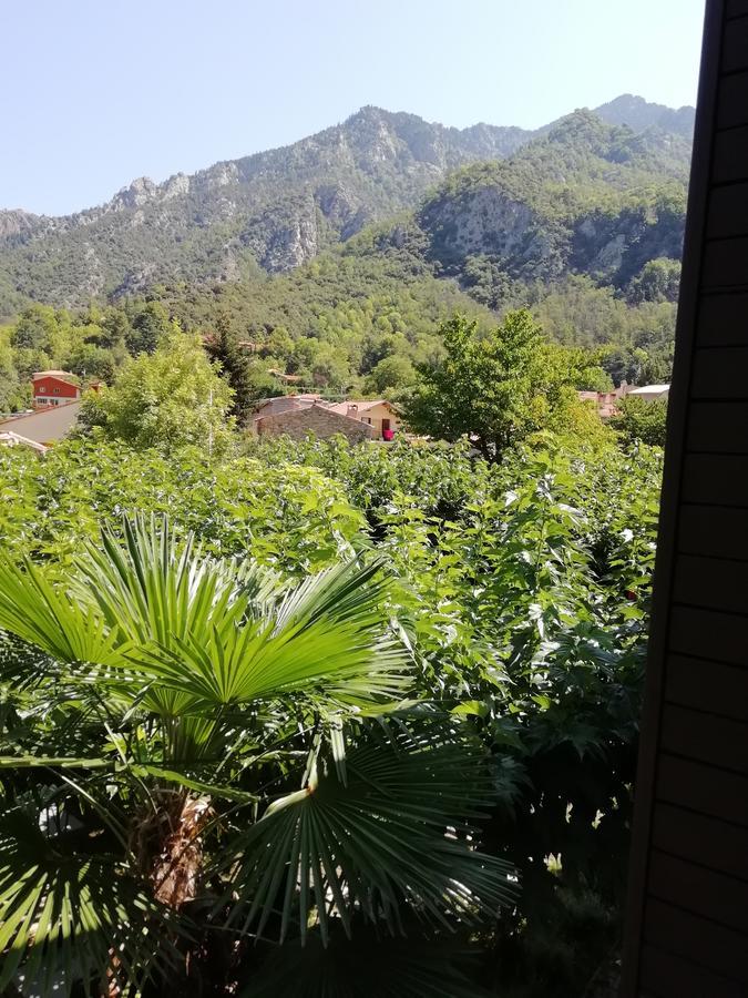 La Mirabelle-Casteil Country House Hostal Exterior foto