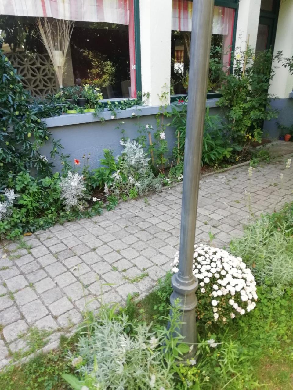 La Mirabelle-Casteil Country House Hostal Exterior foto